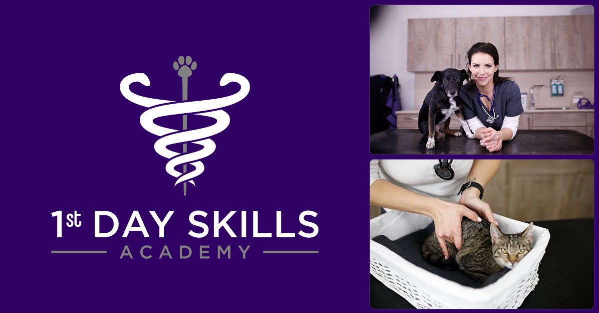 freak 1 skills academy